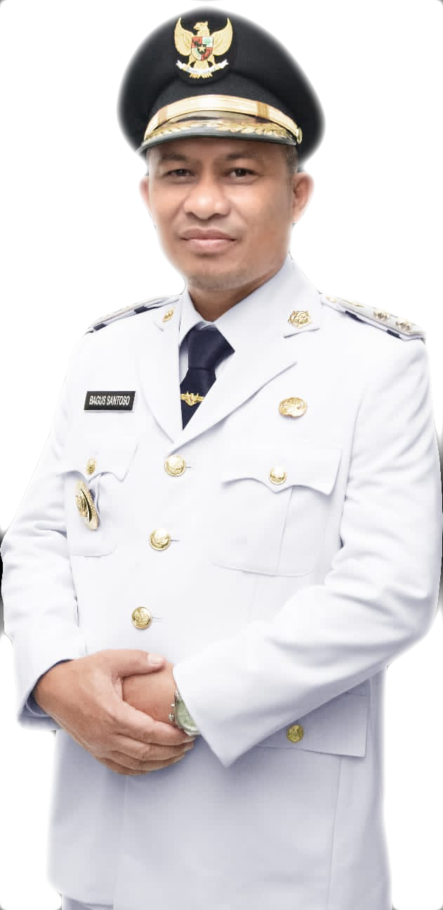 wakil bupati